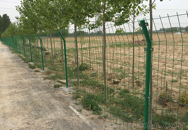 甄特护栏双边丝护栏 户外场地隔离常用防护网